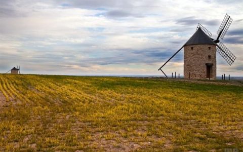 适合心情低落的句子（心情低落无奈简短说说）