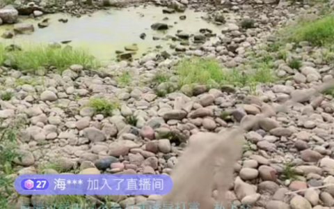 播了一个月没人气还要继续吗（新手开了半天直播没人）