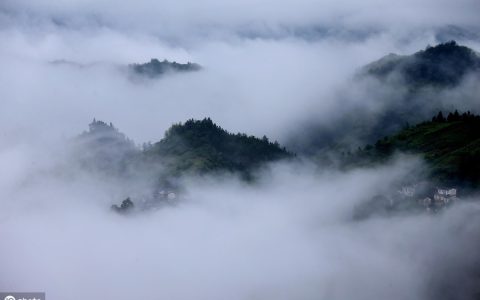 登高原文及翻译赏析（登高全诗词鉴赏）