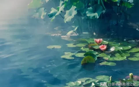 夏天的诗句古诗大全（描写夏天的古诗欣赏）