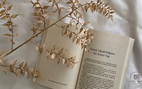 经典古诗文大全（优美古诗词欣赏）