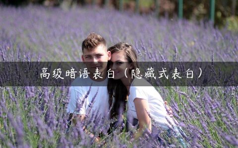高级暗语表白（隐藏式表白）